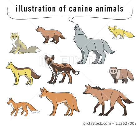 Canine animal illustration set 112627002