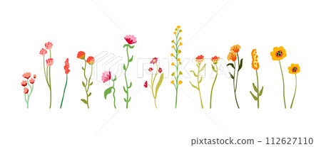 A set of delicate graceful wildflowers on tall stems with foliage. Simple floral elements. Yellow and pink wild growing plants isolated on white background. Flat vector illustration. A set of delicate graceful wildflowers on tall stems with foliage. Simple floral elements. Yellow and pink wild growing plants isolated on white background. Flat vector illustration. 112627110