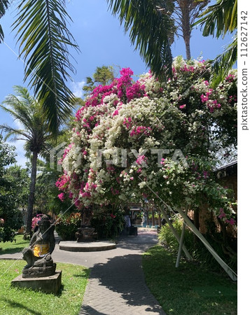 Bali hotel garden Bali hotel garden 112627142