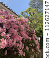 Japanese landscape spring flowers 112627147