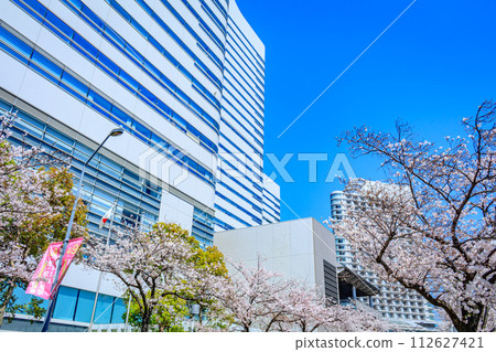 [神奈川的都會景觀]港未來週邊的櫻花 112627421