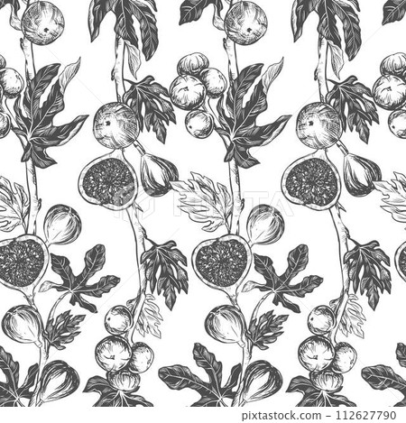 Figs seamless pattern. Vector hand drawn illustration on white background. Botanical fruit sketch texture. Graphic old print, engraving technique. Design for fabric, wrapping paper, wallpaper. Figs seamless pattern. Vector hand drawn illustration on white background. Botanical fruit sketch texture. Graphic old print, engraving technique. Design for fabric, wrapping paper, wallpaper. 112627790