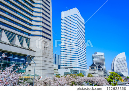 [Urban landscape of Kanagawa] Cherry blossoms around Minato Mirai 112628868