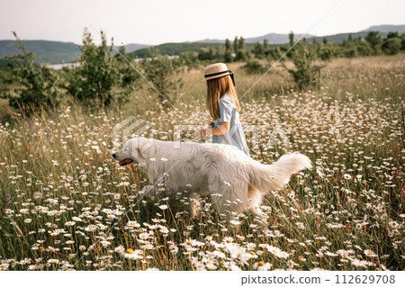 Girl dog meadow chamomile. Child girl embraces her furry friend Maremma Sheepdog in a serene chamomile field, surrounded by lush greenery. Love and companionship between a girl and her dog. Girl dog meadow chamomile. Child girl embraces her furry friend Maremma Sheepdog in a serene chamomile field, surrounded by lush greenery. Love and companionship between a girl and her dog. 112629708