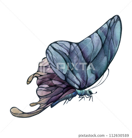 Hand drawn watercolor illustration butterfly fairy wings gem crystal insect moth. Amethyst charoite fluorite ametrine. Single object isolated on white background. Design print, shop, wedding, birthday 112630589