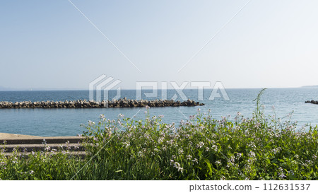 beautiful coastal scenery beautiful coastal scenery 112631537