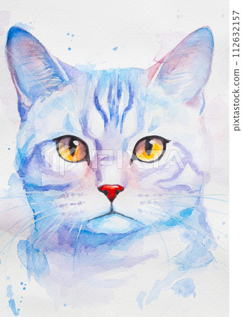 American Shorthair Cat painted in watercolor on a white background in a realistic manner, colorful, rainbow. Ideal for teaching materials, books and nature-themed designs. American Shorthair Cat painted in watercolor on a white background in a realistic manner, colorful, rainbow. Ideal for teaching materials, books and nature-themed designs. 112632157