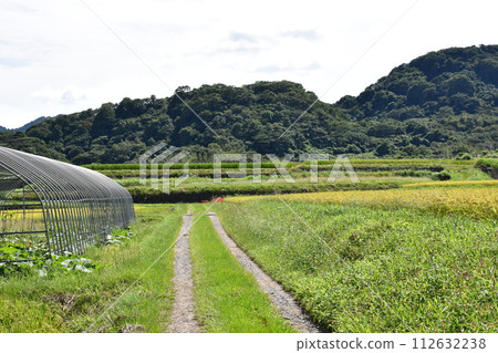 藍天下一條筆直的路 112632238