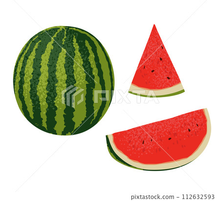 watermelon vector hand drawing illustration 112632593