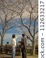 Family viewing cherry blossoms 112633217