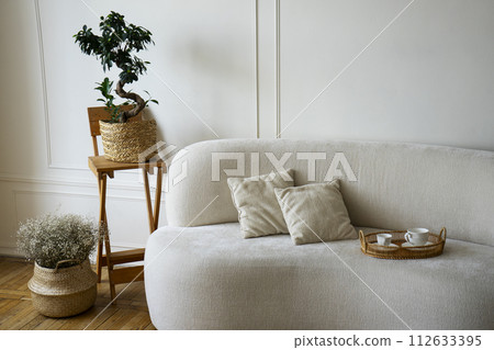 Room decor with potted plants and sofa Room decor with potted plants and sofa 112633395