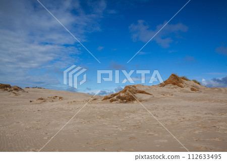 Rabjerg Mile is a migrating coastal dune, Denmark. 112633495