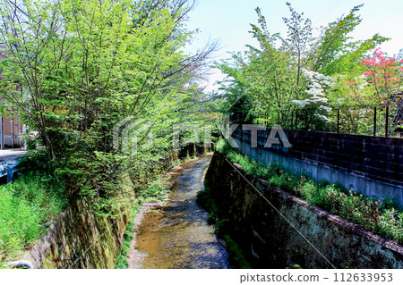 [Kyoto] Arashiyama tour in spring - Omuro River and fresh greenery seen from Yuhi Bridge 112633953