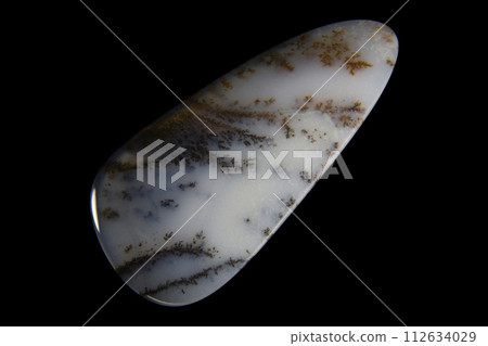 Dendritic Agate A stone that harbors landscapes 112634029