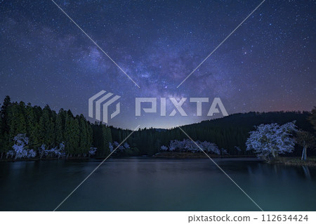 Milky Way and Nakako Cherry Blossoms 112634424