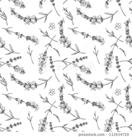 Seamless floral pattern with lavender. Vector in engraving style. Botanical background, French aromatic herb, repeating print. Blooming herbs texture design with Provence lavender blossom. Seamless floral pattern with lavender. Vector in engraving style. Botanical background, French aromatic herb, repeating print. Blooming herbs texture design with Provence lavender blossom. 112634720