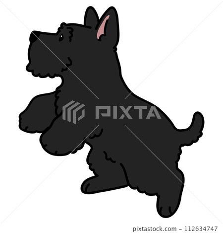 一個簡單可愛的黑色蘇格蘭梗用主線跳躍的插圖 112634747