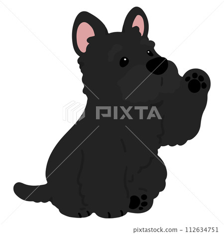 Illustration of a simple and cute black Scottish terrier waving, no main line Illustration of a simple and cute black Scottish terrier waving, no main line 112634751