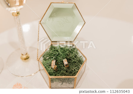 Elegant wedding rings nestled in glass box with moss 112635043