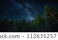 Summer night in the fairy forest, perfect for a background 112635257