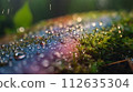 Fairy forest perfect for background in spring, summer, fall and winter 112635304