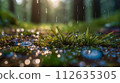 Fairy forest perfect for background in spring, summer, fall and winter 112635305