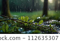 Fairy forest perfect for background in spring, summer, fall and winter 112635307