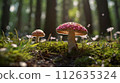 Fairy forest perfect for background in spring, summer, fall and winter 112635324
