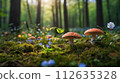 Fairy forest perfect for background in spring, summer, fall and winter 112635328