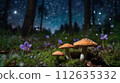 Fairy forest perfect for background in spring, summer, fall and winter 112635332