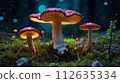 Fairy forest perfect for background in spring, summer, fall and winter 112635334