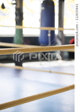boxing gym image 112635641