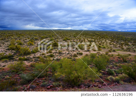 Central Sonora Desert Arizona Central Sonora Desert Arizona 112636196