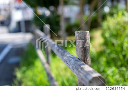 park fence and trees park fence and trees 112636354