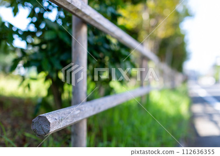 park fence and trees park fence and trees 112636355