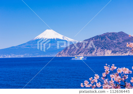 (Shizuoka Prefecture) Suruga Bay Ferry heading towards Toi Port, where Kawazu cherry blossoms are blooming, with snow-covered Mt. Fuji in the background (Shizuoka Prefecture) Suruga Bay Ferry heading towards Toi Port, where Kawazu cherry blossoms are blooming, with snow-covered Mt. Fuji in the background 112636445
