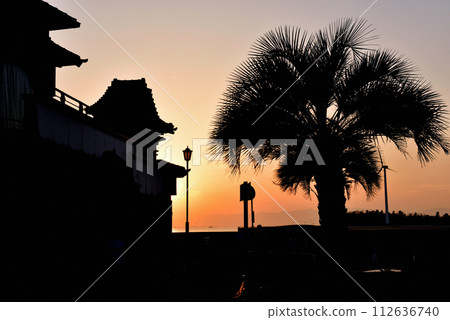 Palm tree silhouette 112636740