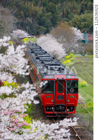 Limited express "Yufu" running on the JR Kyudai Main Line in full spring ~ JR Kyushu Kiha 185 series diesel car 112636928