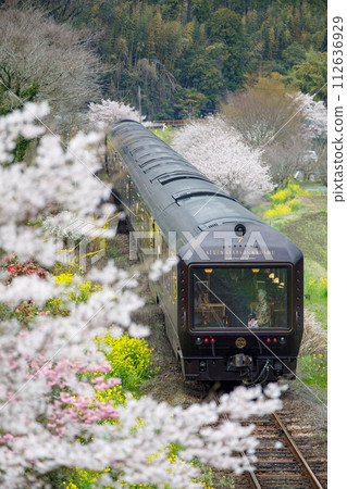 ``Seven Stars in Kyushu,'' a luxury cruising train where you can see cherry blossom trees from the train window. 112636929