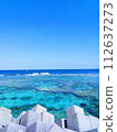 Blue sea wave dissipation block 112637273