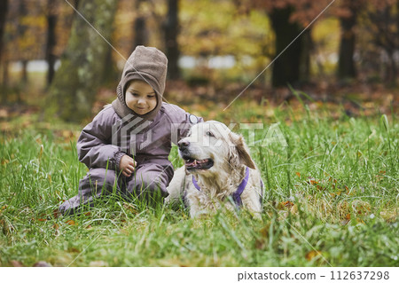 Charming child and dog walking in the forest in Denmark 112637298