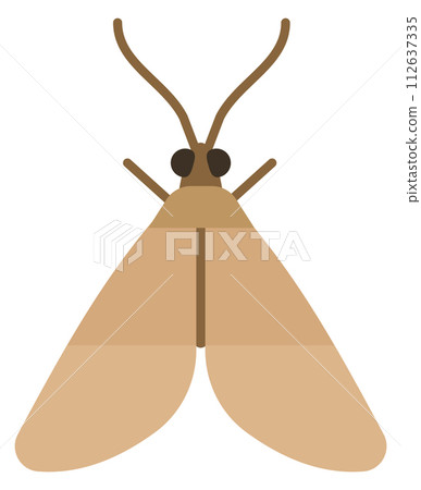 Moth color icon. Flying insect. Nature symbol 112637335