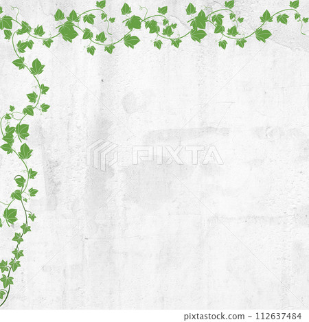 Illustration of ivy leaves on a white wall 112637484