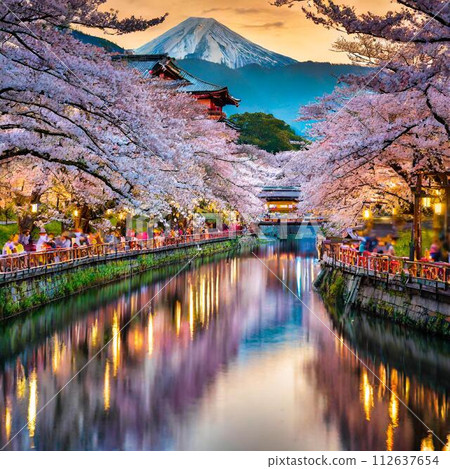 人們沿著河邊的櫻花樹觀賞櫻花 人們沿著河邊的櫻花樹觀賞櫻花 112637654