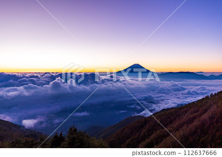 (Yamanashi Prefecture) Mt. Fuji floating in the sea of clouds Sunrise 112637666