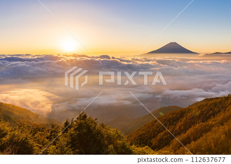 (山梨縣)富士山漂浮在the海日出 (山梨縣)富士山漂浮在the海日出 112637677