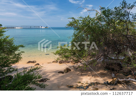 Mangrove tree by turquoise sea at Ko Man Nai, Rayong, Thailand 112637717