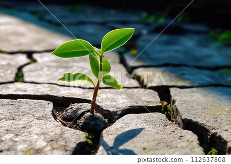New Life Blooms: Green Plant Sprouting Through Cracks Among Stones - Generative AI 112637808