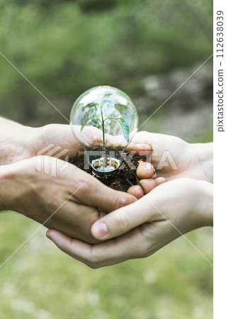 Concept plant in glass bulb Concept plant in glass bulb 112638039