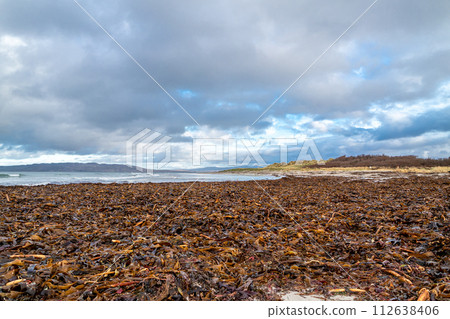 Seaweed lying on Portnoo beach in County Donegal, Ireland 112638406